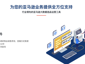 利用 Helium 10 识别亚马逊类目中的“垄断天花板”并制定差异化的产品切入方案