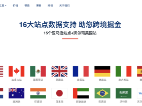 Sif 工具在亚马逊广告策略调整中的实时响应价值