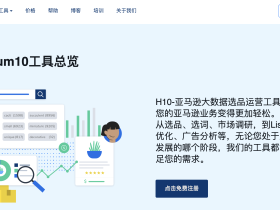 针对亚马逊卖家:利用 Helium 10 进行“全渠道品牌矩阵”中亚马逊站内流量的最佳比例