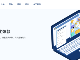 Helium 10 与 Shopify 独立站协同:如何利用 H10 数据为独立站引流并提升 ACOS?