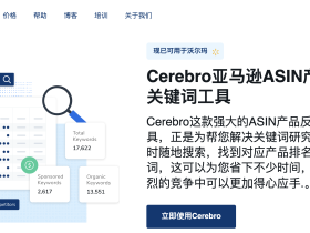 Helium 10 与 Excel Power Pivot 联动:如何利用选品数据自动生成多维度经营报表?