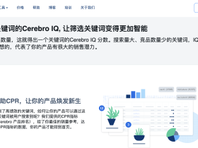 Helium 10 账号续费时的“汇率差”节省技巧及针对中国卖家的支付优化