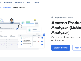 Helium 10 账号共享服务的危害:为什么低价拼车账号经常导致数据丢失?